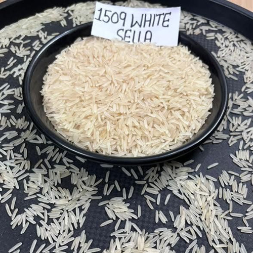 1509 WHITE SELLA BASMATI RICE